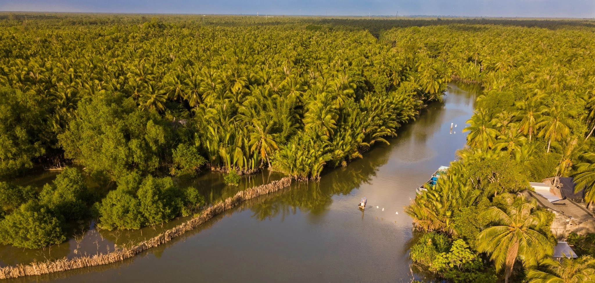 Aerial view of a broad river winding through coconut gardens in the Mekong Delta