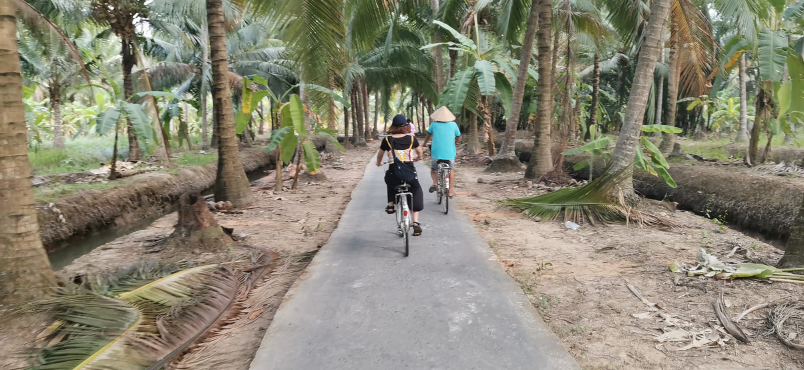 Cyclists following a local host along a narrow coconut-garden road in Ben Tre