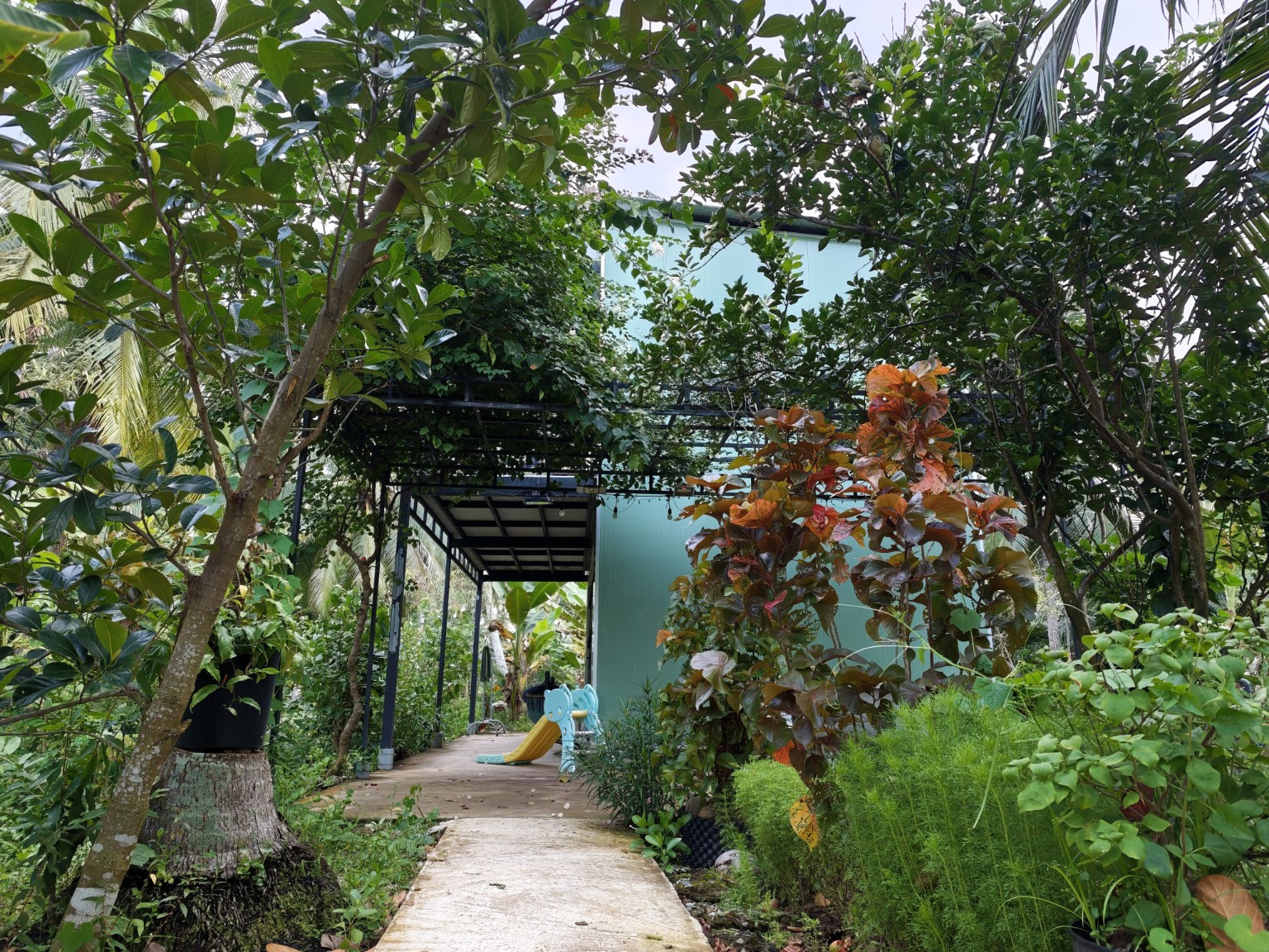 Garden path leading to the private two-bedroom house at Coco Happy Farm in Ben Tre